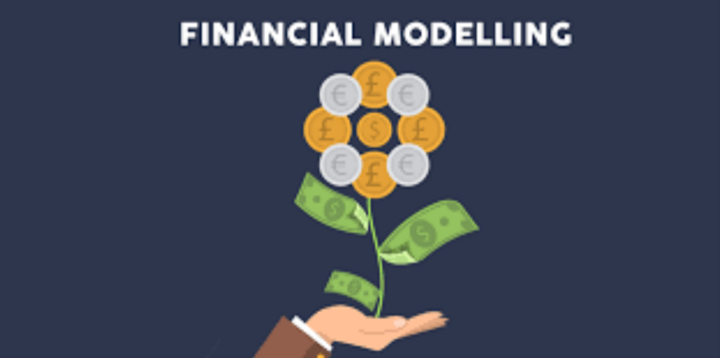 Who builds financial models?